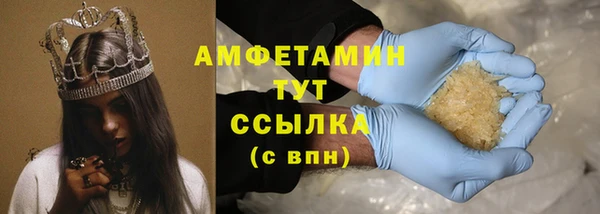гашик Осинники