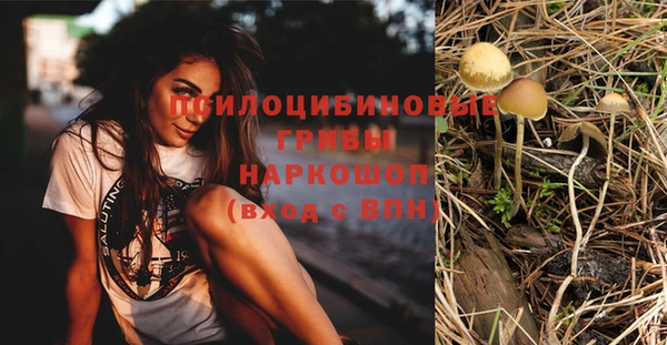 гашик Осинники