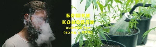 гашик Осинники