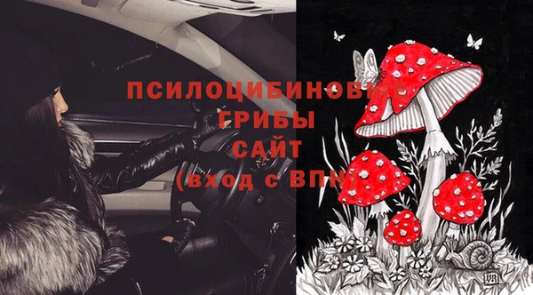 MESCALINE Няндома