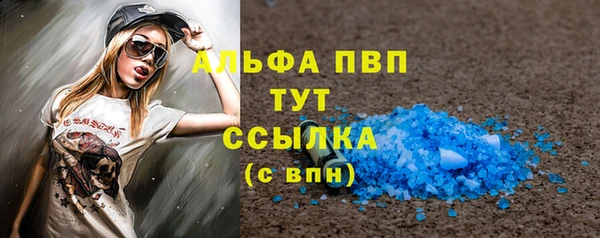 гашик Осинники