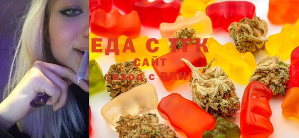 гашик Осинники