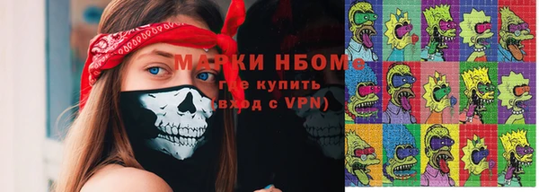 гашик Осинники