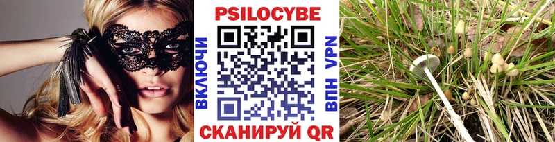 Галлюциногенные грибы Magic Shrooms  где купить наркоту  Курчатов 