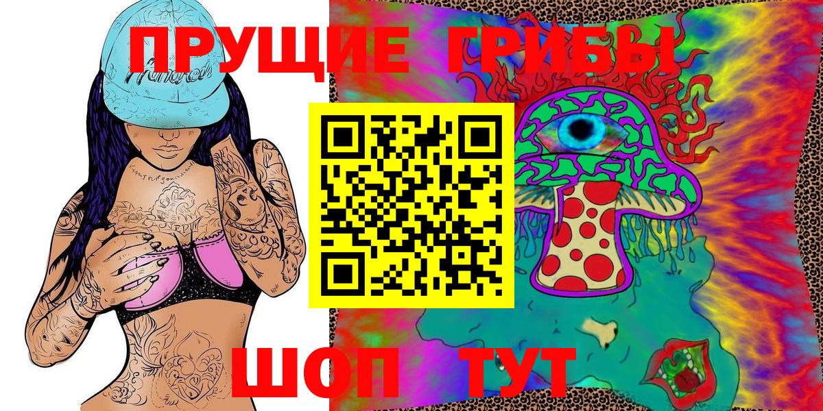 Псилоцибиновые грибы мицелий  купить  сайты  Курчатов 