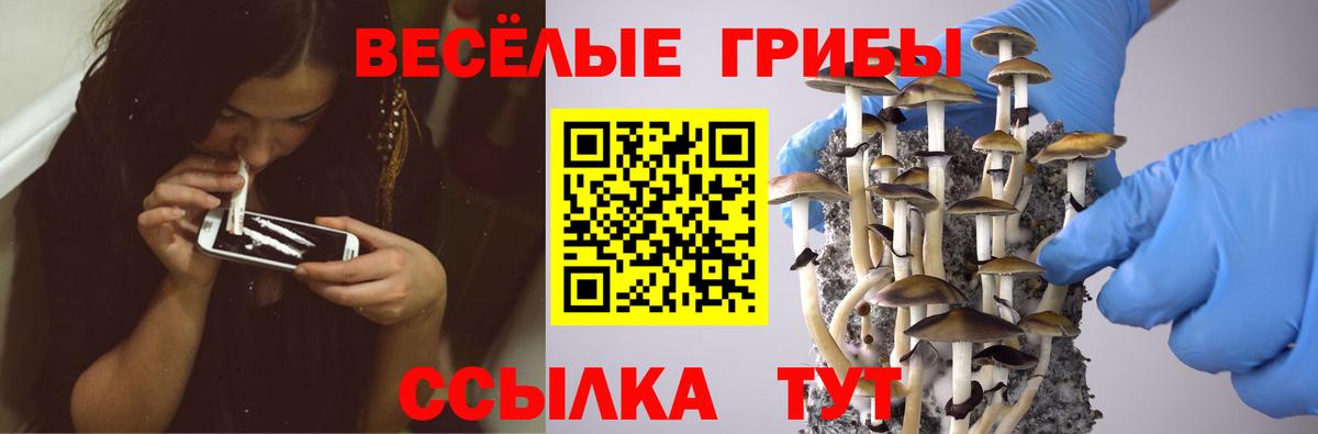 Псилоцибиновые грибы прущие грибы Курчатов